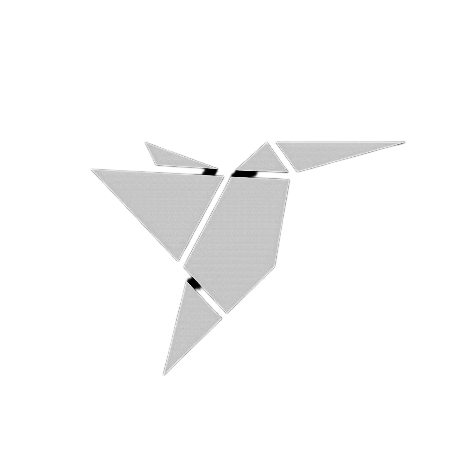 InShot_20260302_192046560